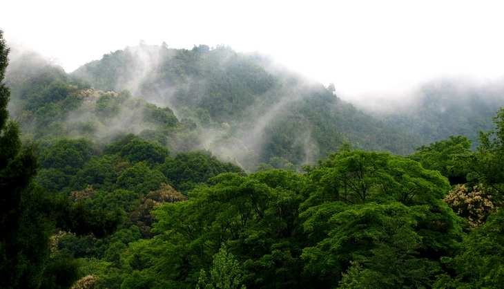 广东翁源青云山省级自然保护区