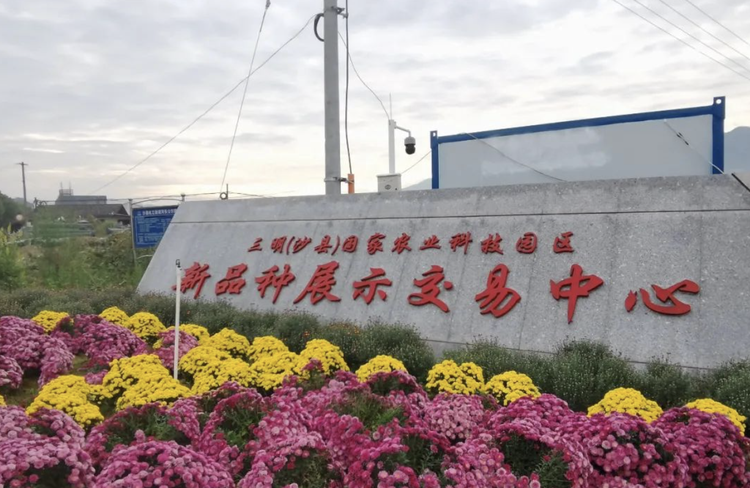 沙县区