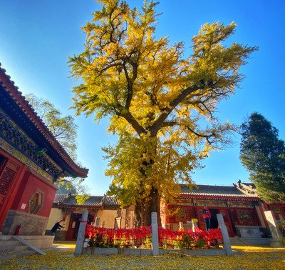 滦州市
