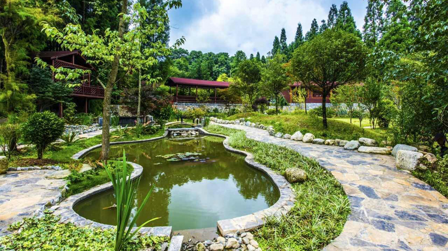 普安县普白森林公园