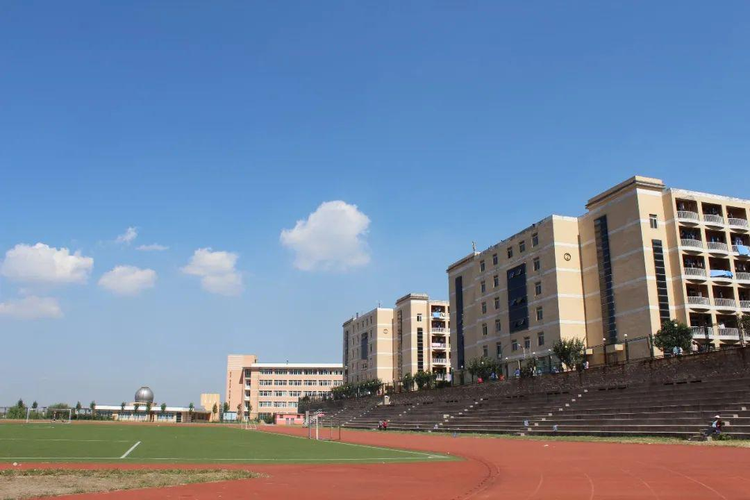 齐鲁医药学院