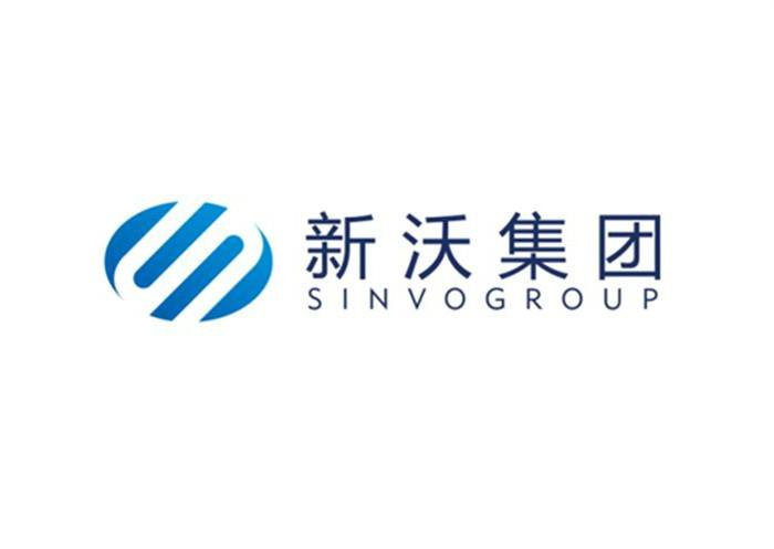 新沃资本控股集团有限公司