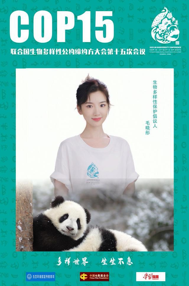 毛晓彤.jpeg
