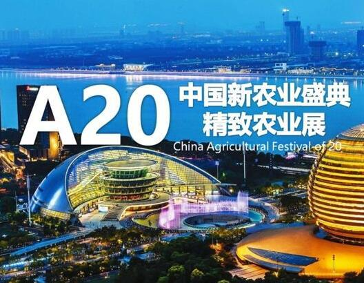 A20