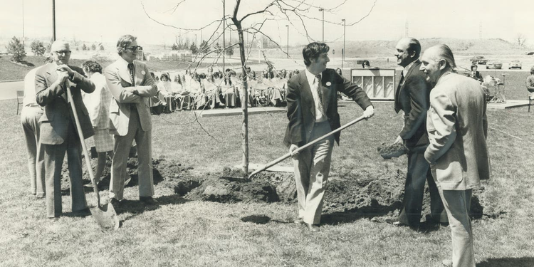 arbor-day-in-mississauga-mayor-martin-dobkin-plants-a-sunburst-loust-tree-in-front-of-city-hall-y.jpeg