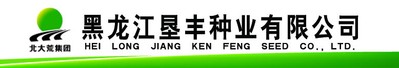 黑龙江垦丰种业有限公司