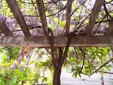 北京联合大学机电学院