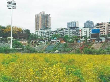 重庆两江竞技足球俱乐部