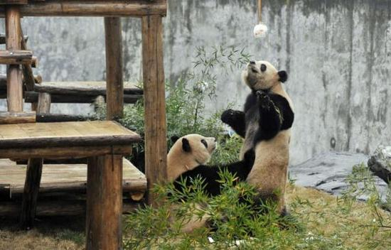 长沙生态动物园