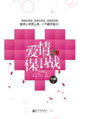 爱情保卫战