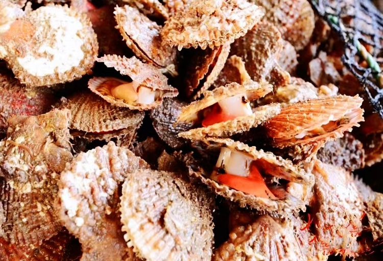 长岛海洋生态文明综合试验区