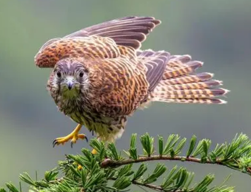 赫章县