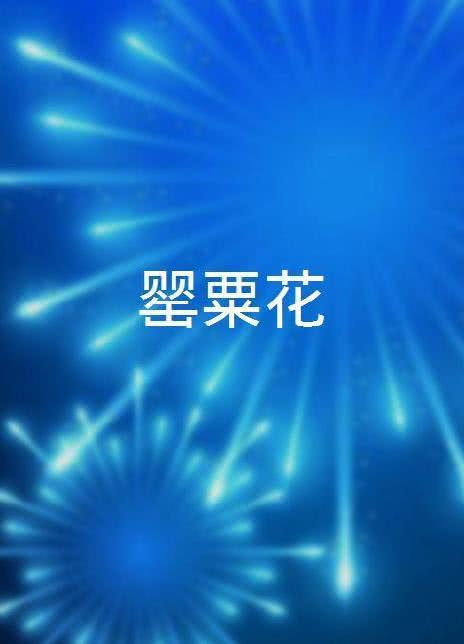 杨贵媚