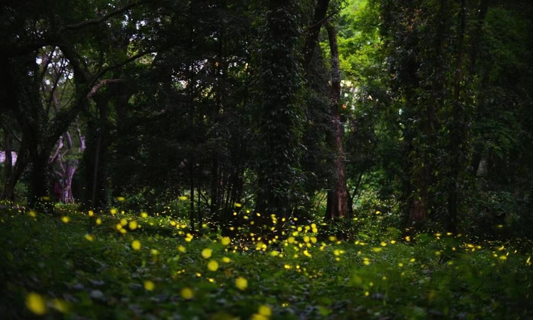 中国科学院华南植物园
