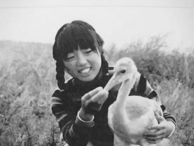 徐秀娟