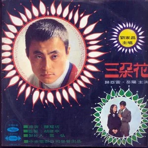 三朵花.png