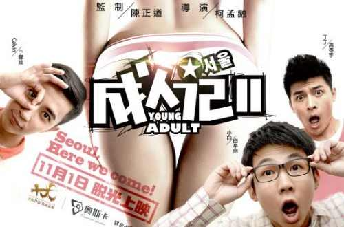 成人记2