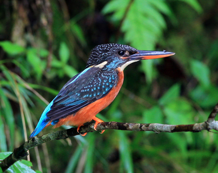 螢幕截圖 2023-11-01 19.57.png