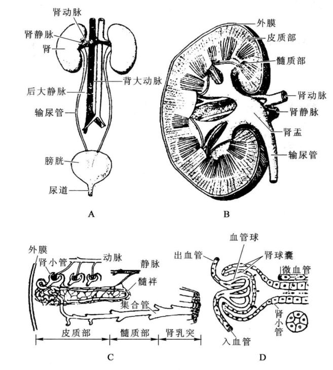 粘贴图片1-1694527143707.png