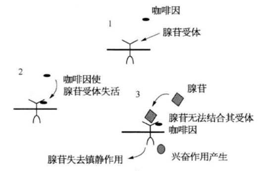 0b3f3c55-7c68-486e-916c-9e6932998290.png