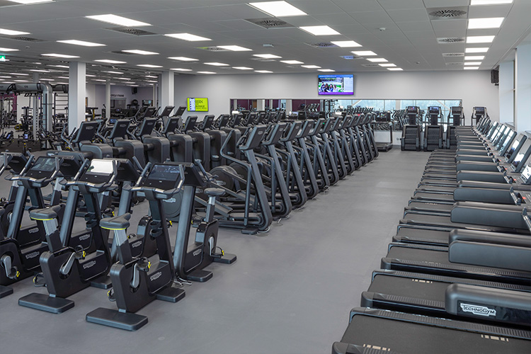 gym.jpeg