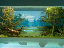 南京直立人化石遗址公园