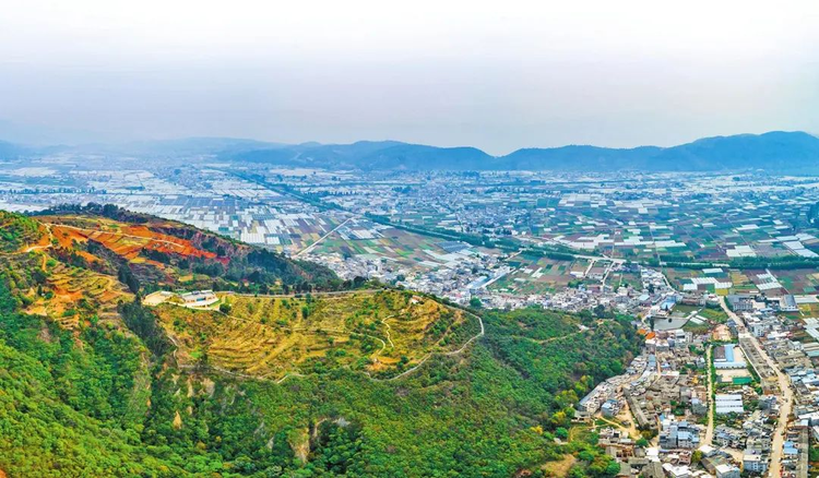 江川区