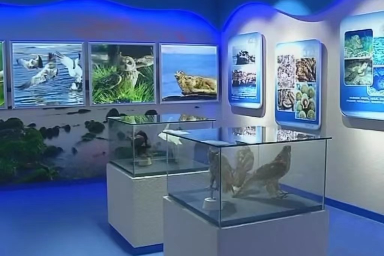 长岛海洋生态文明综合试验区