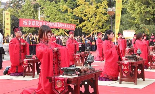 杨陵区