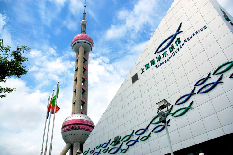 上海海洋水族馆