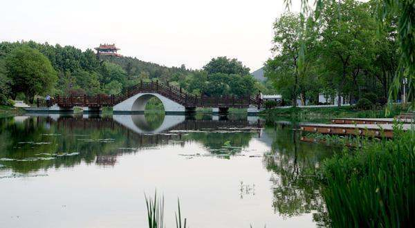 微山湖千岛湿地.jpeg