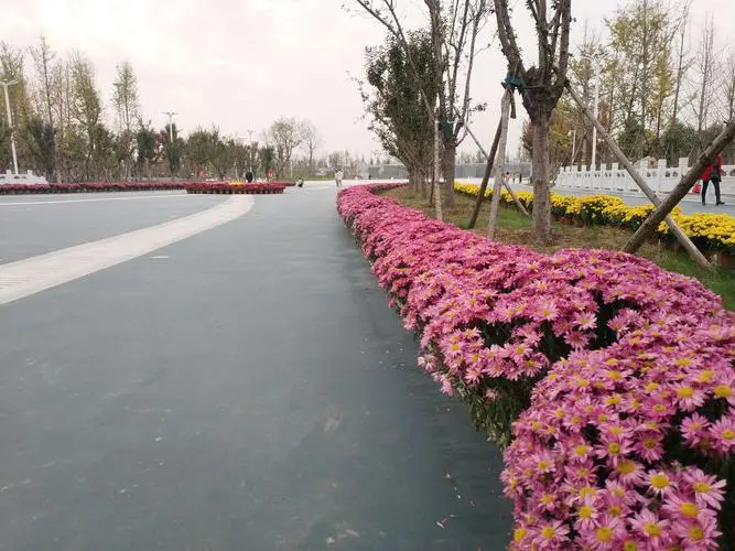 花.png