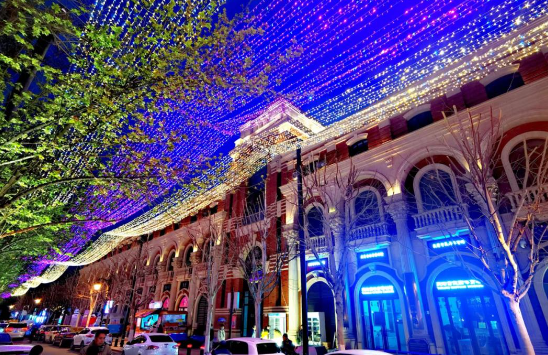 第二届五大道海棠花节