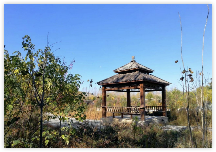 iShot_2023-10-11_00.42.png