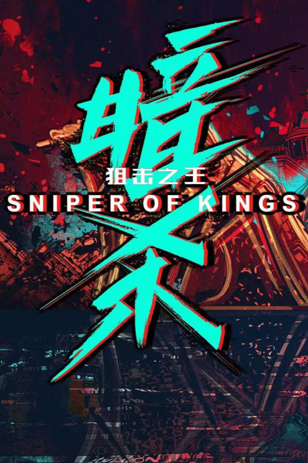 狙击之王：暗杀