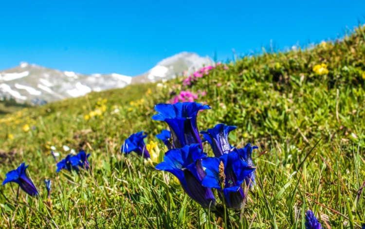 迪庆藏族自治州