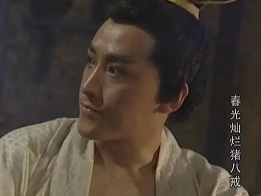 春光灿烂猪八戒