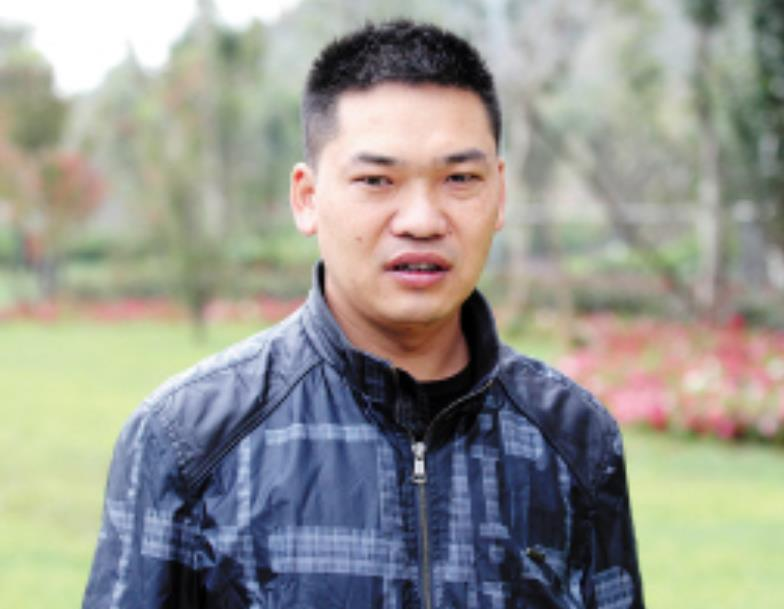 杨青