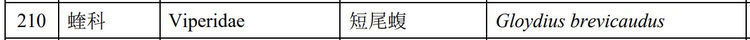 短尾蝮