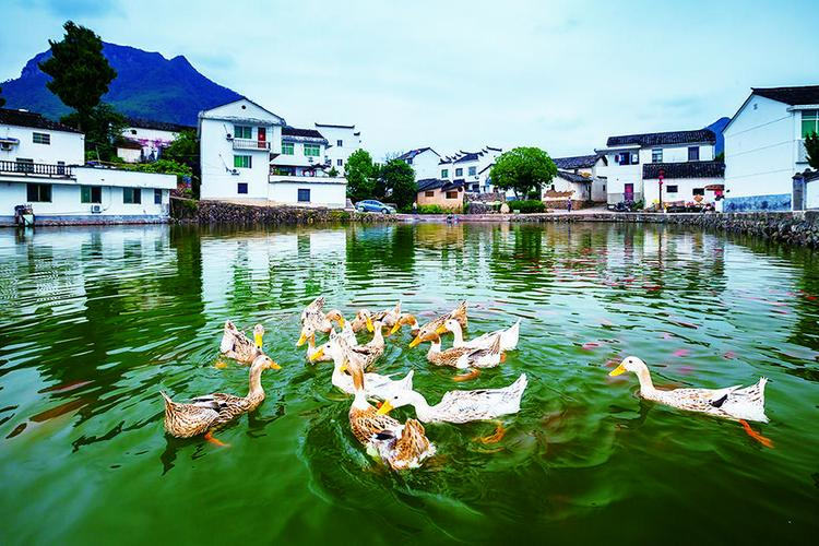杭州市