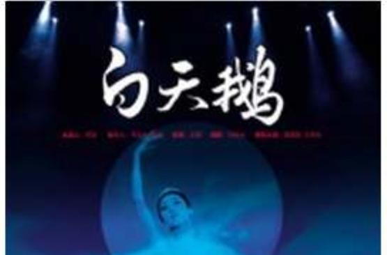 白天鹅