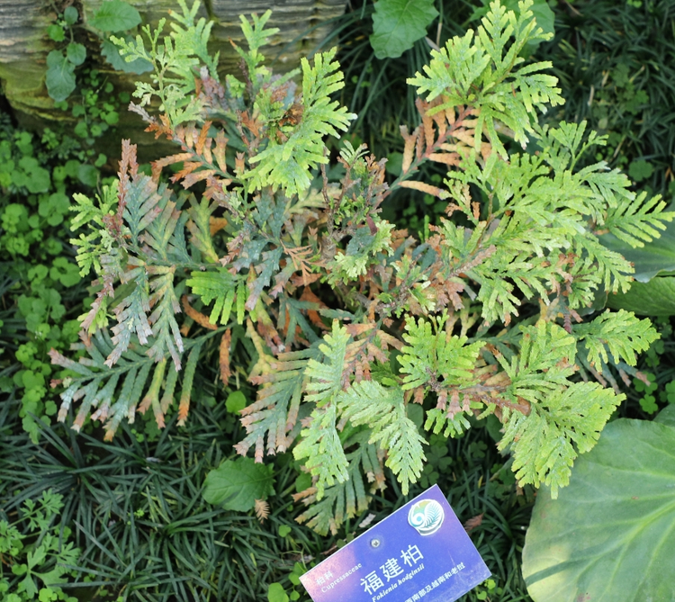 乳源瑶族自治县