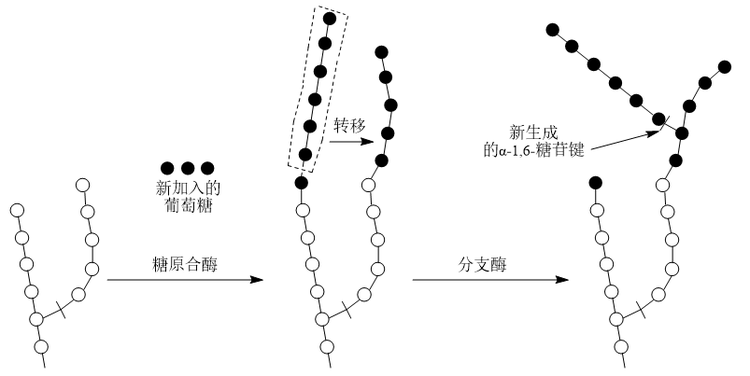 Snipaste_2023-06-06_16-38-41.png