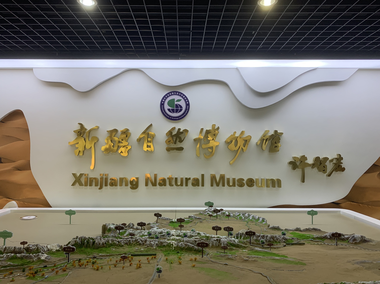 新疆自然博物馆内厅.jpg