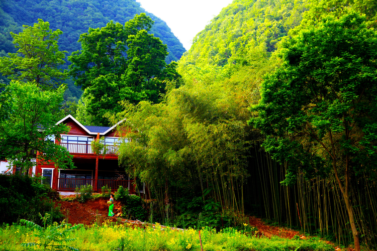广宁县