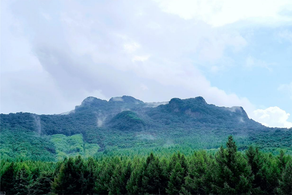 香炉山国家森林公园.png