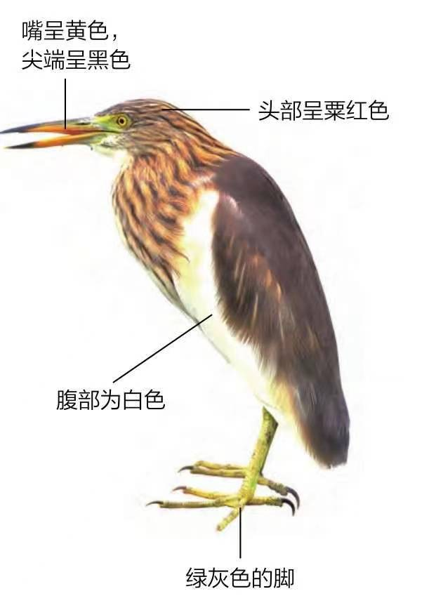 图片1-6810.jpg