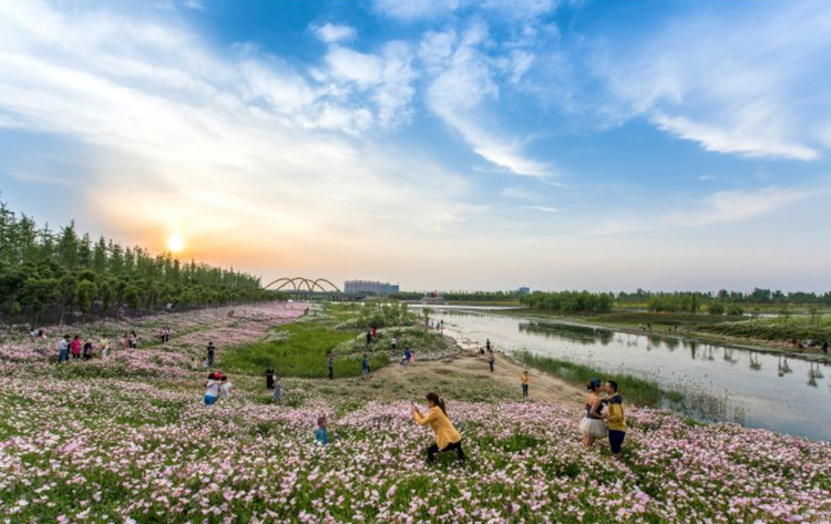 宿州新汴河景区.png