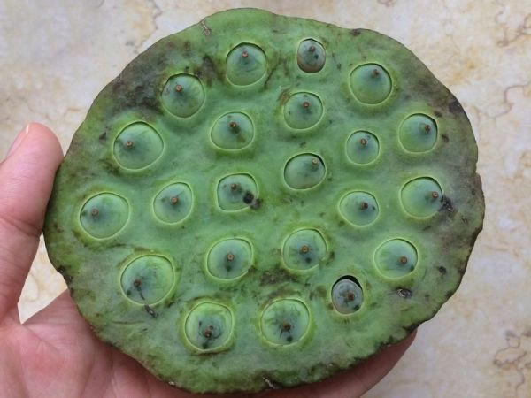 咸骨粥