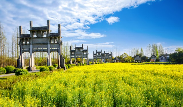 安徽歙县5A景区棠樾牌坊群春季油菜花风光